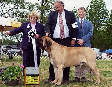 Baron AOM Trenton KC 2010